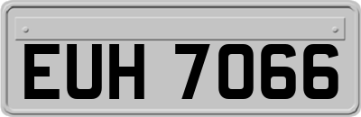 EUH7066