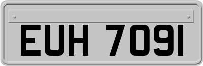 EUH7091