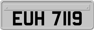 EUH7119