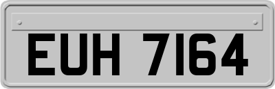 EUH7164