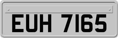 EUH7165