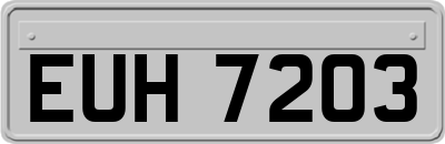 EUH7203