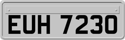 EUH7230