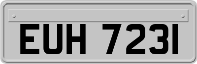 EUH7231