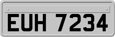 EUH7234