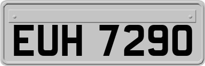 EUH7290
