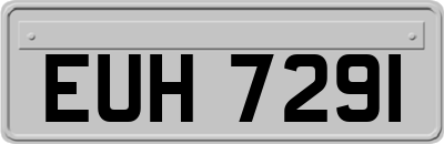 EUH7291