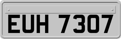 EUH7307