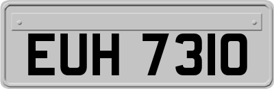 EUH7310