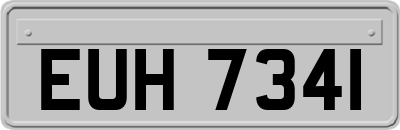 EUH7341