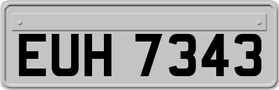 EUH7343