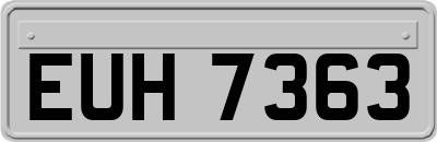 EUH7363