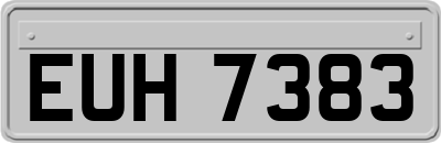 EUH7383