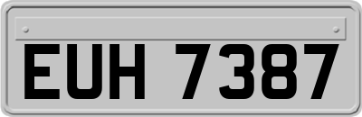 EUH7387