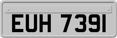 EUH7391