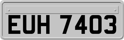 EUH7403