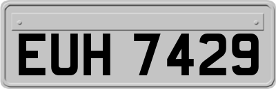 EUH7429
