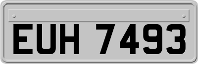 EUH7493