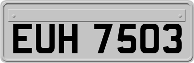 EUH7503