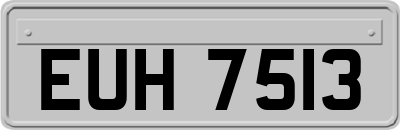 EUH7513