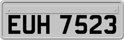 EUH7523