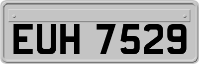 EUH7529