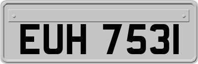 EUH7531