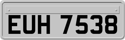 EUH7538