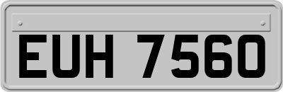 EUH7560