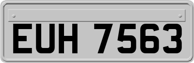 EUH7563