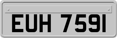 EUH7591