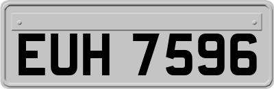 EUH7596