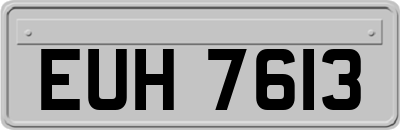 EUH7613