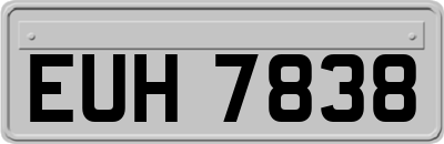 EUH7838