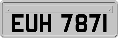 EUH7871