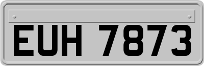 EUH7873