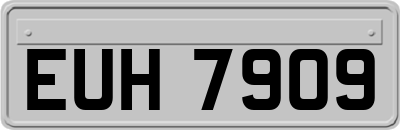EUH7909