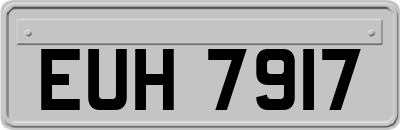 EUH7917