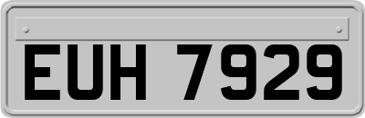 EUH7929