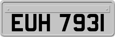 EUH7931