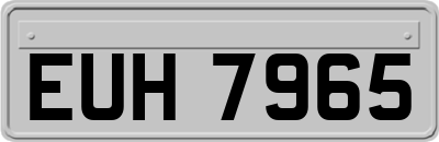 EUH7965