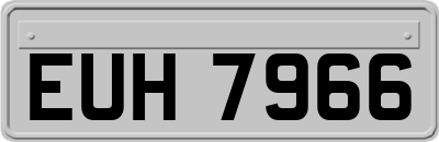 EUH7966