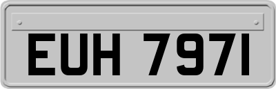 EUH7971