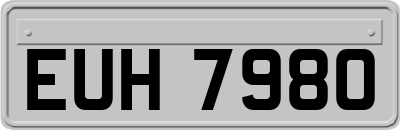 EUH7980