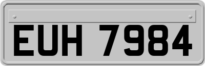 EUH7984