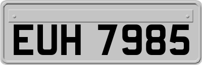 EUH7985