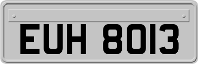EUH8013