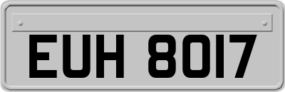 EUH8017