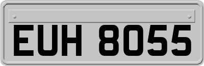 EUH8055