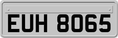 EUH8065
